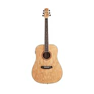 Ashton d20ceq outlet