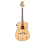 ASHTON D20 CEQ NTM Dreadnought Cutaway And EQ AKA Studios